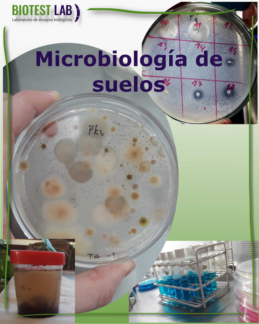 Microbiología Agrícola: concepto e importancia